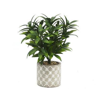 China High Quality Small Size Artificial Bonsai Home Decoration Indor HuiCai Garden Green Plants Potted For Decoration for sale