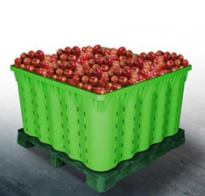 China High Quality Freshness Keeping Food Grade Plastic Storage Bins With Good Ventilation for sale