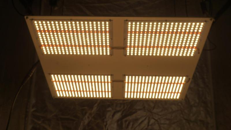 Verified China supplier - Shenzhen Yuanhui LED Limited