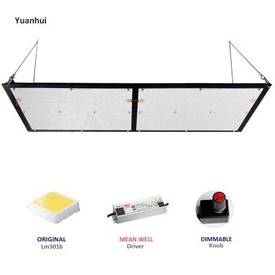 China Yuanhui 240W v2 Samsung lm301b 3500K quantum seed starting HL HL led to grow light for sale