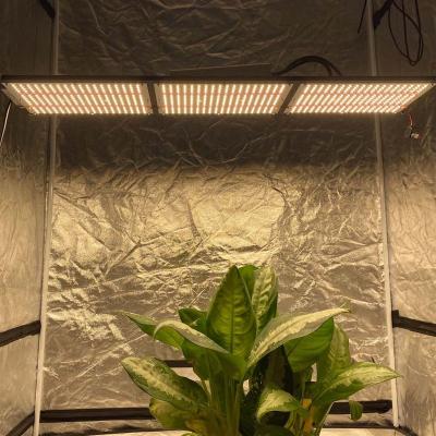 China Seed starting Yuanhui 320w booster panel lm301b v2 qb288 led grow lights for indoor plants to replace HPS for sale