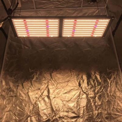 China Seed Seed Growing Yuanhui Full Spectrum LED Plant Grow Light 240W Lm301b Far Red UV Red White Mix 660nm 730nm 730nm Led Grow Light For Veg And Flower for sale