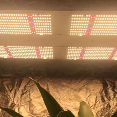 China Yuanhui Horticulture Growing System 480w IR Full Spectrum UV LED Dimming Button Grow Lights For Garden Greenhouse Plants for sale