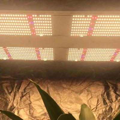 China Button dimming new design Yuanhui 480w V4 Samsung lm301b lm301h led grow light for indoor plants for sale