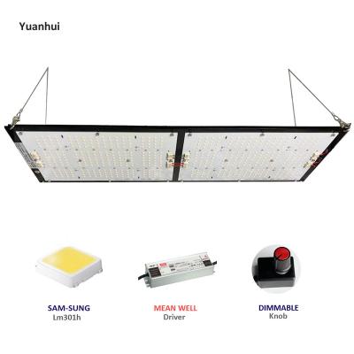 China Seed starting Yuanhui 240w greenhouse led grow light lm301h quantum lamp with 660nm V4 full spectrum red lamp for sale