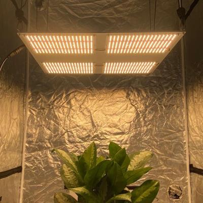 China Seed starting Yuanhui prewired 550 V3 480w led to grow light mix 660 deep red lm301h epistar for sale