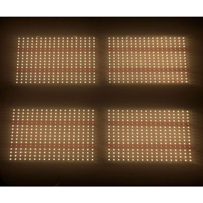 China Yuanhui seed starting feeder 550 V2 Samsung lm301b led grow light to grow tent for indoor plants for sale