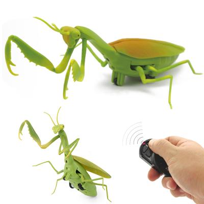 China ABS Plastic RC Infrared Remote Control Insect Toy Realistic Plastic Radio Control Animal Toys For Children for sale