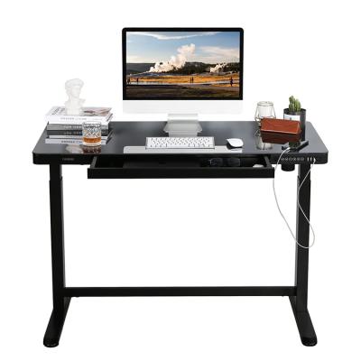 China High Quality Electric Bedroom Adjustable Sit-Rack Wholesale (Height) Desk for sale