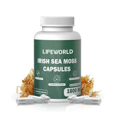 China Organic Irish Sea Moss Bladderwrack Supplement Capsules For Adult Children for sale