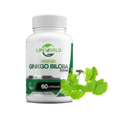 China Custom Herbal Ginkgo Biloba Extract Supplement For Immunity Support for sale