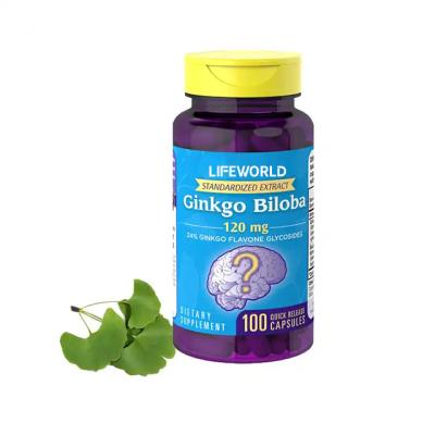 China Capsule Type Extra Strength Ginkgo Biloba 500mg For Elevate Cognitive Performance for sale