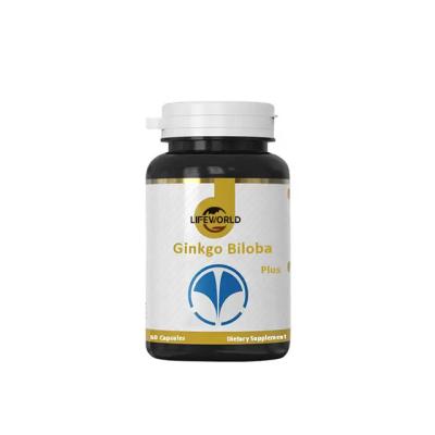 China Custom Herbal Health Supplement Capsules With Pure Ginkgo Biloba Leaf Extract for sale