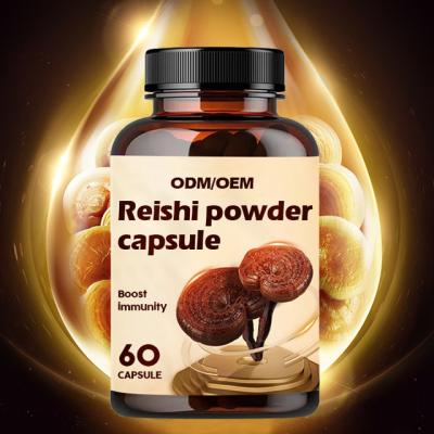 China OEM / ODM Voeding ondersteunt algemeen welzijn en vitaliteit Reishi capsules Te koop