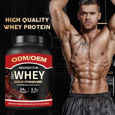 China Increase Muscle Sports Supplement Nutrition Gym Supplements Whey Powder Mass Gainer Whey Protein Isolate Bulk for sale