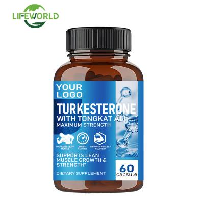 China OEM Pure Natural Turkesterone Tribulus Terrestris Extract Supplements Tribulus Terrestris Capsules for sale