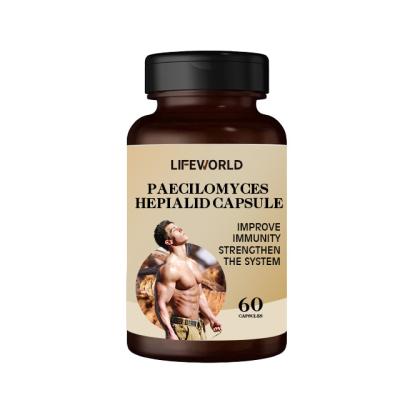 China ODM & OEM Paecilomyces Hepialid Capsule Cordyceps Mycelium Capsules For Enhnace Immune for sale