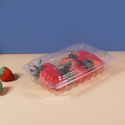 China Recyclable Custom Cherry PET Clamshell Disposable Blister Fruit Box Packaging Transparent Square Plastic Fresh Fruit Box for sale