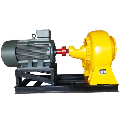 China Durable and long working life 10 inch diesel water pump for sale