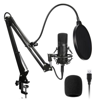 China Professional Desktop Microphone BM700 USB Condenser Mikrofon Mic With Tripod Arm Microphones For PC Game Podcasting YouTube Video Asmr for sale