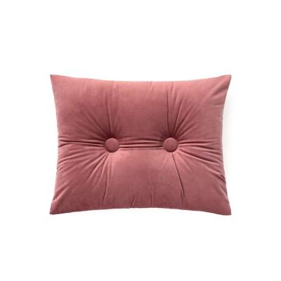 China Viable Professional Design Wholesales Poly Velvet Square Cushion Polyester Cushion Filling Inner Stuffing Tile for sale