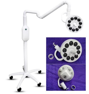 China Removable cover surgical clinical lights with veterinary4 halogen holes examination light for pet for sale