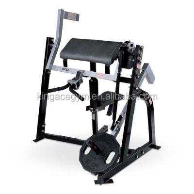 China Bodybuilding Plate Loaded Hammer Biceps Machine / Strength Seated Biceps Curl for sale