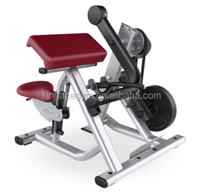 China Gym Equipment New Design Biceps Curl / Fitness Equipment AK-8801A for sale