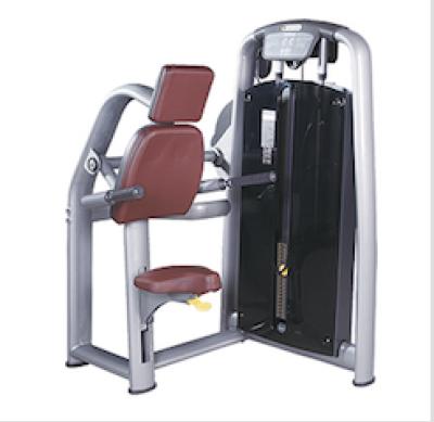 China Commercial Use Gym Equipment Fitness Equipment Triceps Dip Machine for sale