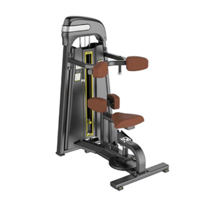 China Commercial Fitness Equipment Gym Equipment Commercial Size Rotary Torso Machine For Gym Center for sale