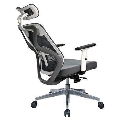 China Mesh Fabric Office Chair (Height) Sedie DA Ufficio Adjustable Modern Computer Chair Executive Office Ergonomic Chair for sale