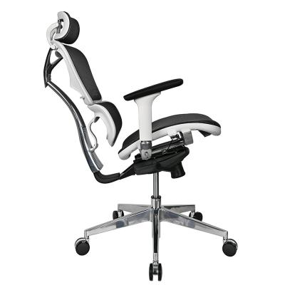 China Professional Rotation Office Chairs Manufacturers Adjustable Ergonomic Chair Mesh Fabric Swivel Chair For Office for sale