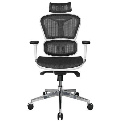 China (Height) Mesh Chair Adjustable High Back Full Support With Certificate Advanced Design BIFMA Mesh Ergonomic Office Chairs for sale