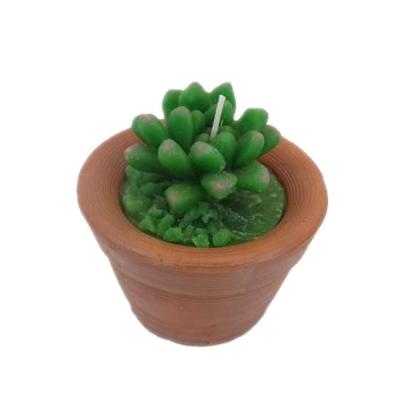 China Scented Popular Succulent Handmade Ceramic Decorative Candle for sale