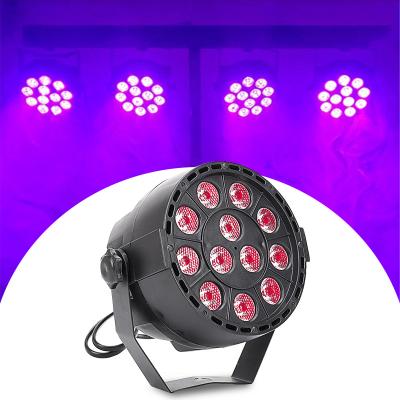 China Theme Park DMX 512 LED Par Light 12pcs RGB Nightclub Bar Dance Floor Wedding DJ Equipment for sale