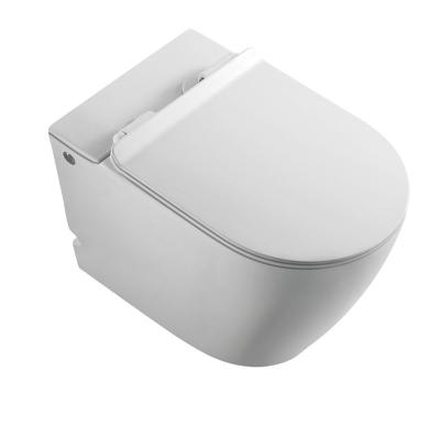 China New Sale Modern Single Hole Vortex Sink Wall Hung Pulse Flushing Toilet for sale