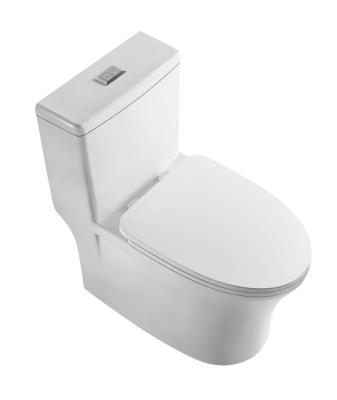 China Two Holes For Many Two Flush Holes For Many Chair Commode Toilet Seat Flush Bidet for sale