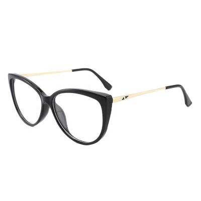 China Fashionable New Design TR90 Glasses Frames Metal Temple Optical Frames Optical Glasses for sale