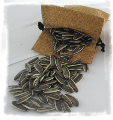 China Egyptian wholesale the specification import bulk organic white sunflower seeds with good market price for sale