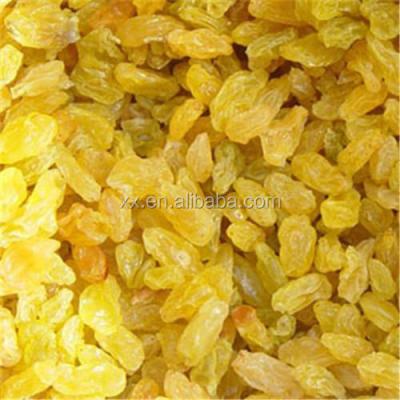 China Best Quality Fruit Products Dried Golden Sweet Raisin for sale