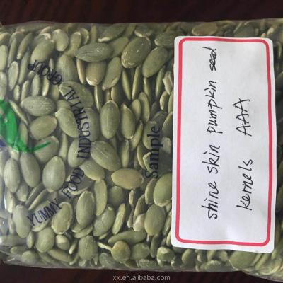 China GWS snow white pumpkin seeds shine skin pumpkin seeds for sale