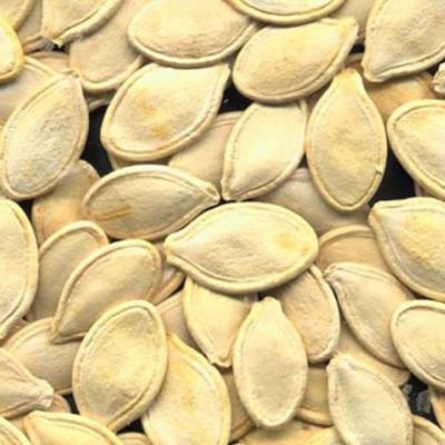 China Chinese Shine Skin Pumpkin Seeds in Bulk for Sale for sale