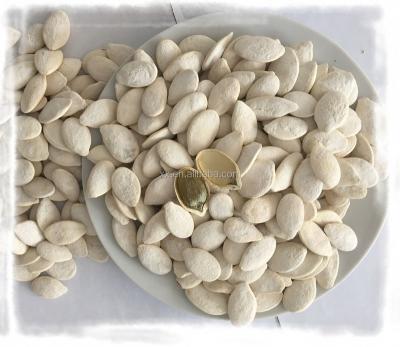 China Chinese Snow White Pumkin Seeds 30% Salt New Crop 25/50kg pp woven bag 1%max for sale