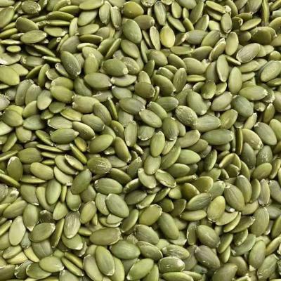 China China origin pumpkin seeds kernels/pumpkin seeds with best quality for sale