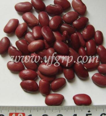 China Light speckled kidney beans red kidney beans kidney beans benefits health for sale