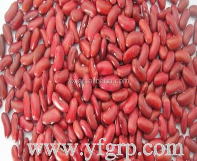 China Light speckled kidney beans red kidney beans white kidney beans benefits for sale