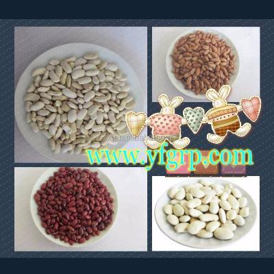 China Importer White Kidney Beans Long Shape Buyer Nutritious 24 Months SHELF LIFE for sale