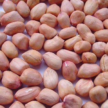 China Round peanuts kernels 35/40 40/50 50/60 60/70 80/100 for sale