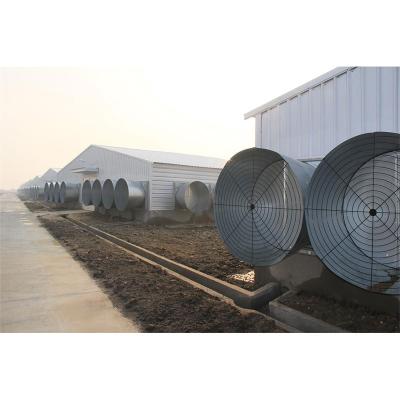 China Industrial Swing Light Steel Structure Fabrication Shed Farming House Cow Barn Poultry House for sale