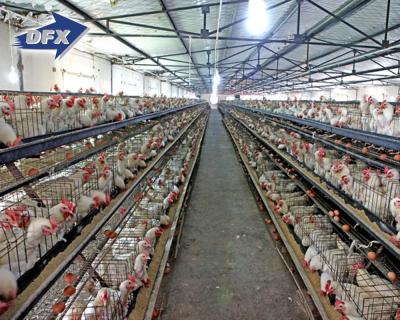 China Storage warehouse structure building low cost chicken house poultry house cow shed steel structure farm building warehouse for sale